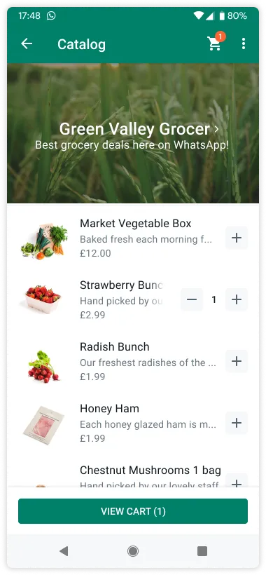 Product catalog displayed within WhatsApp