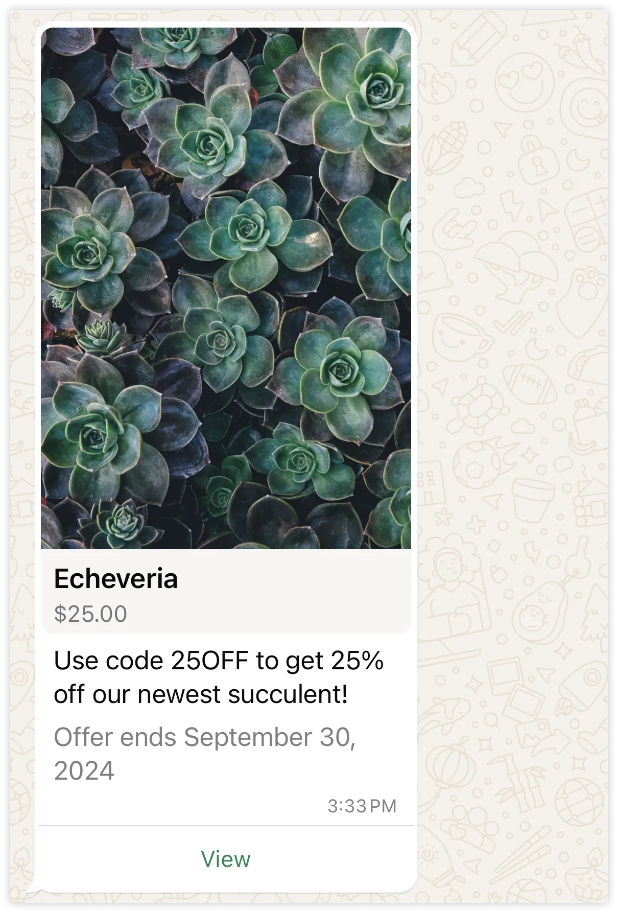 Single-product message template example