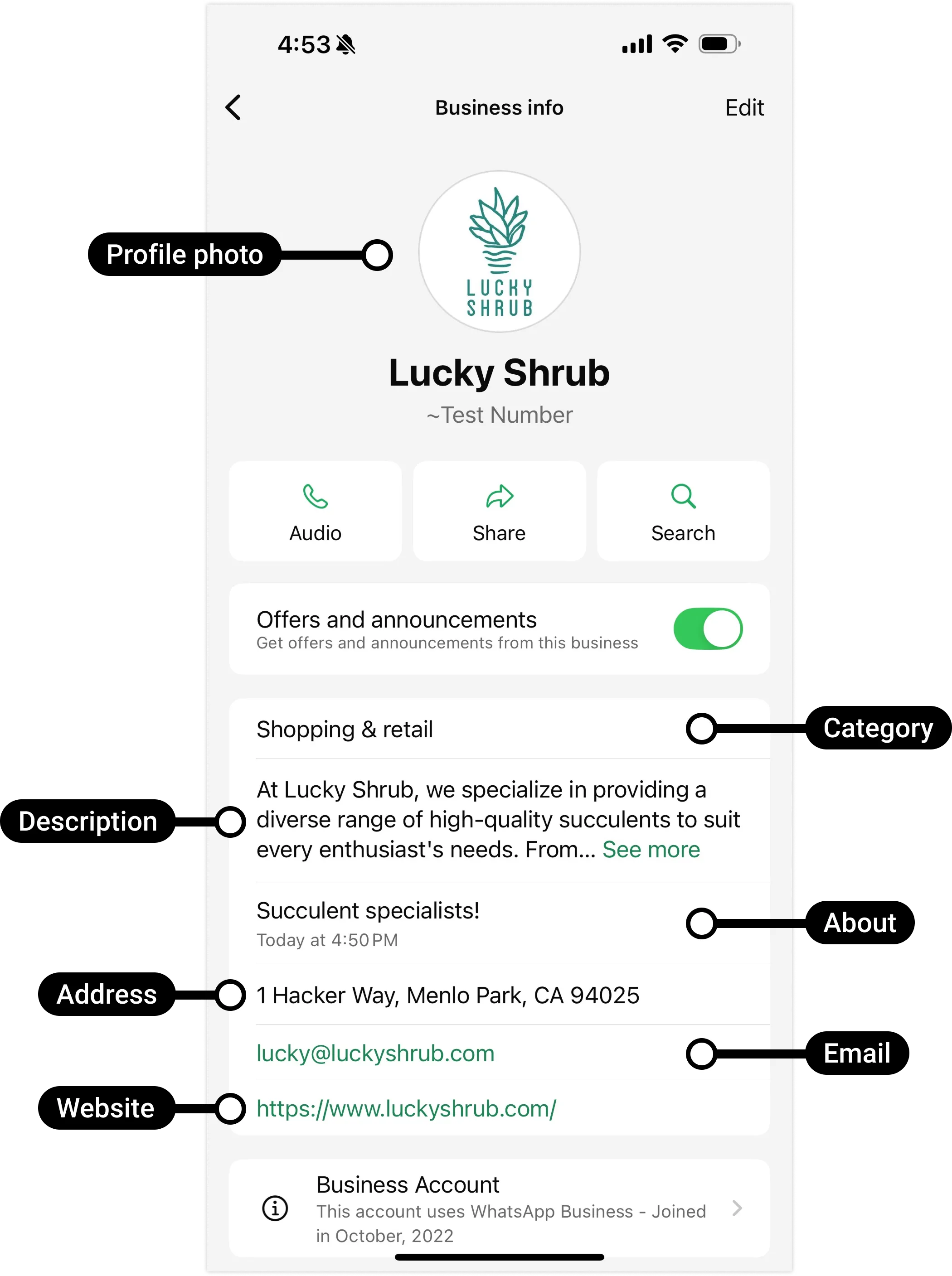 Screenshot of a WhatsApp business profile displaying company information
