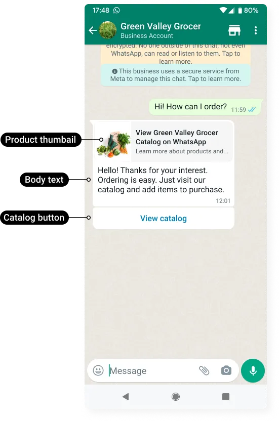 Catalog message example showing View catalog button