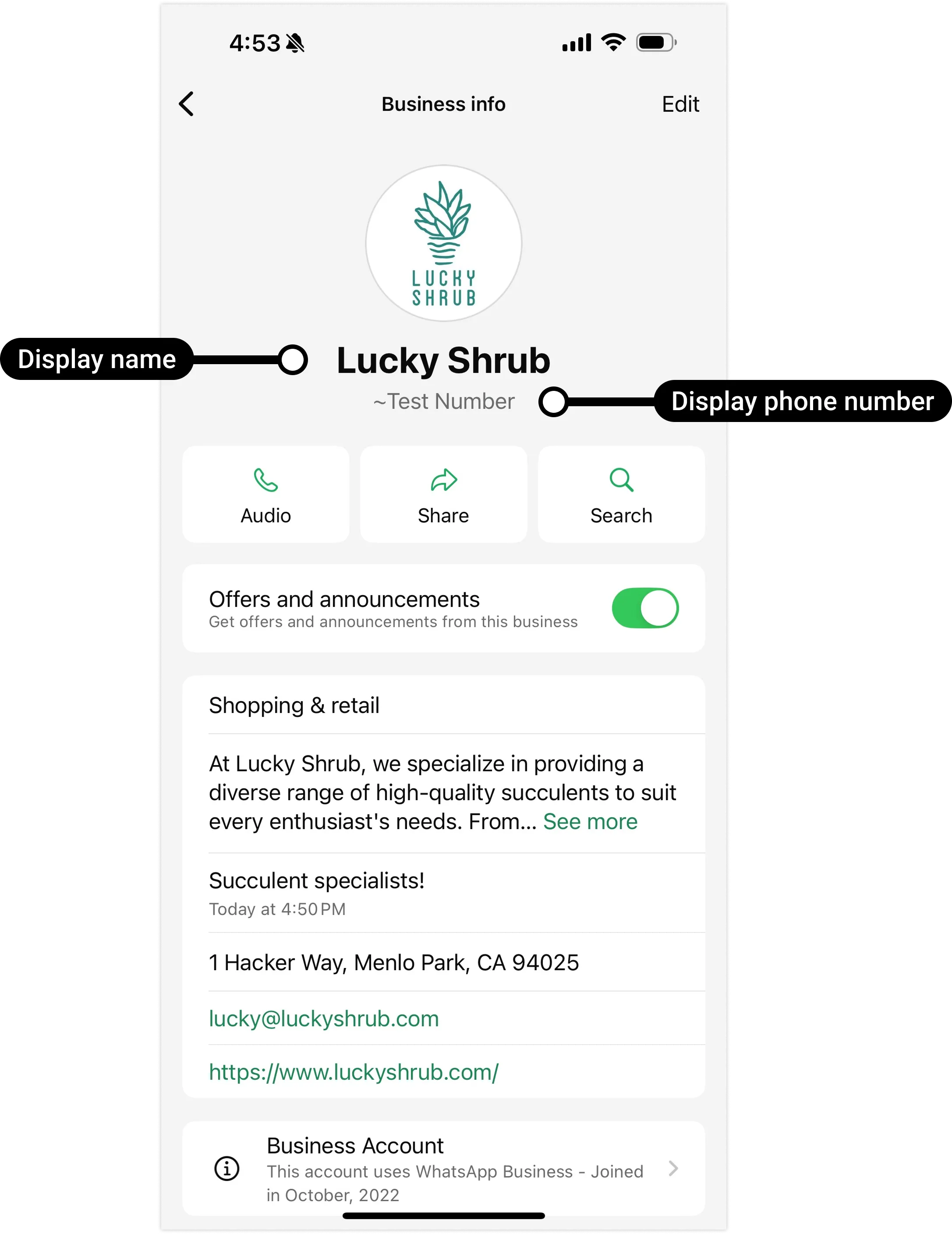 WhatsApp business profile showing the display name