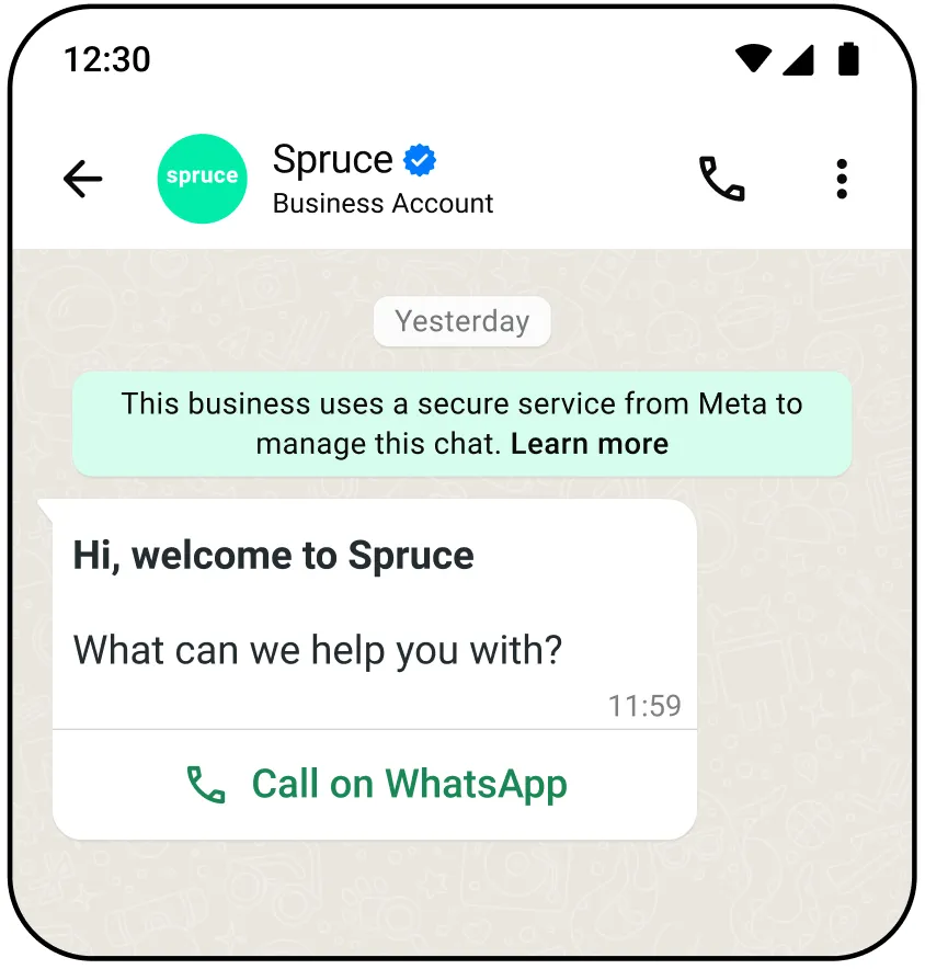 Screenshot showing WhatsApp call button message on mobile device