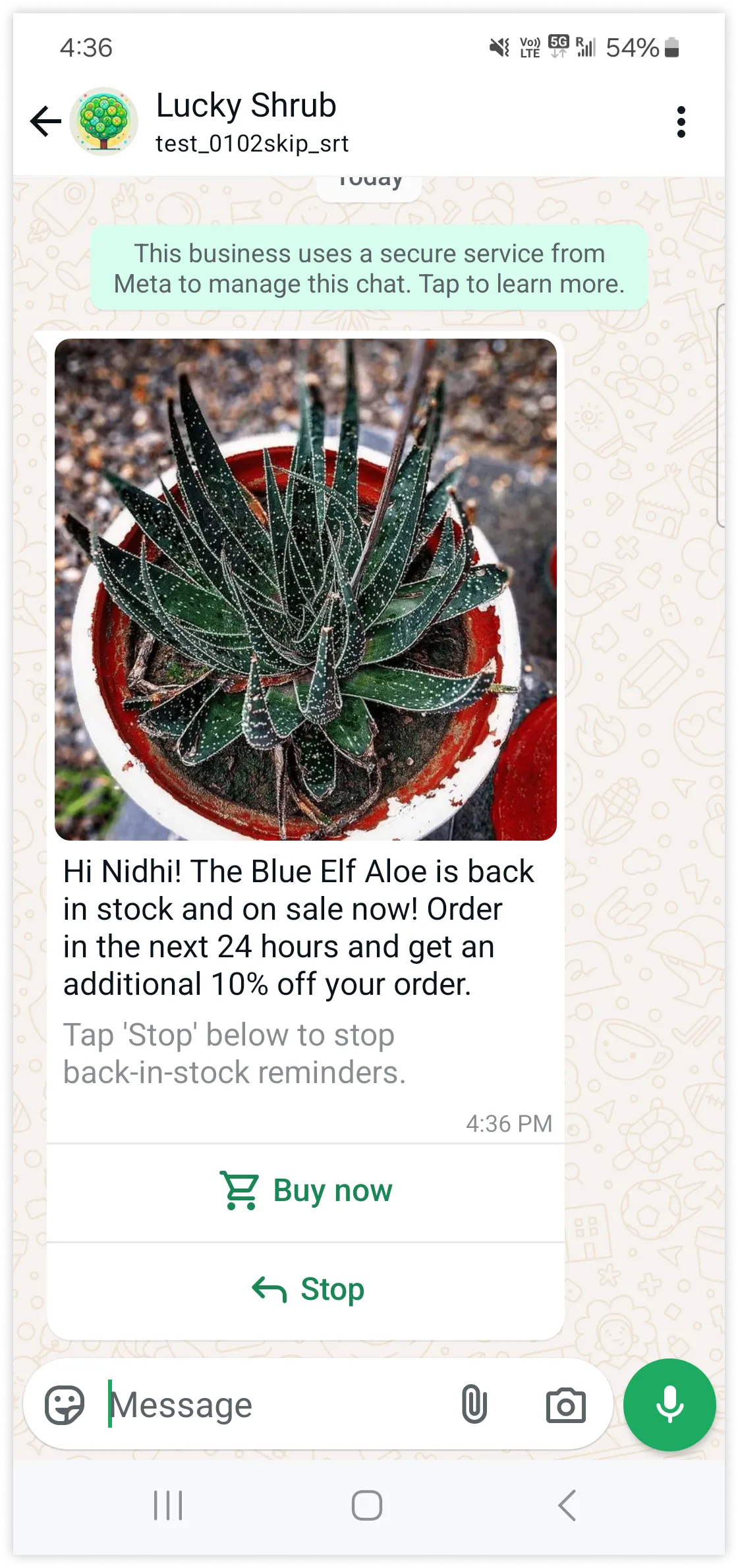 Checkout button template example