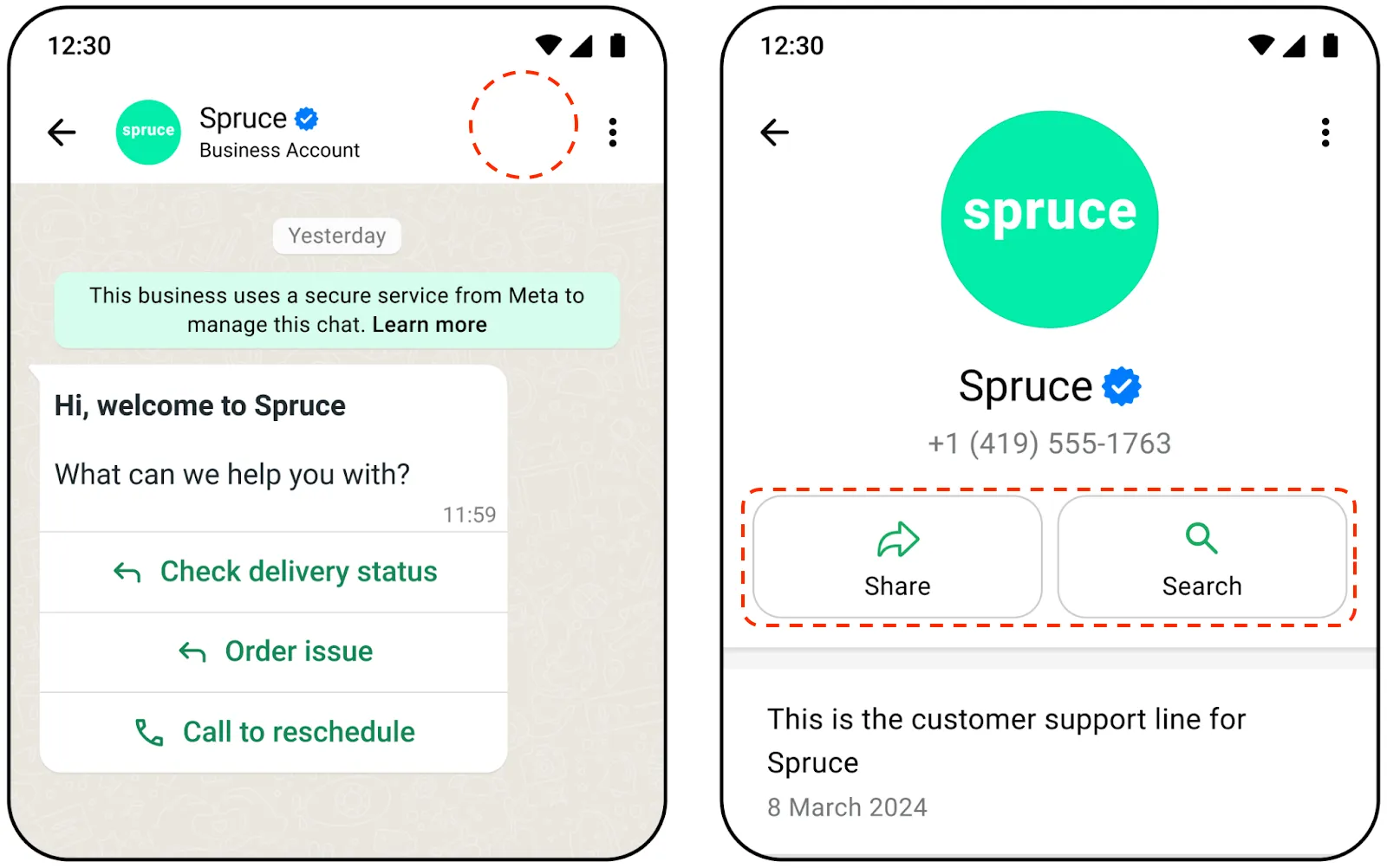 Screenshot showing the WhatsApp chat interface with the call button icon hidden